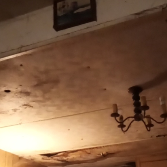 Meet your Posher, Pauline - Picture 1 of 1